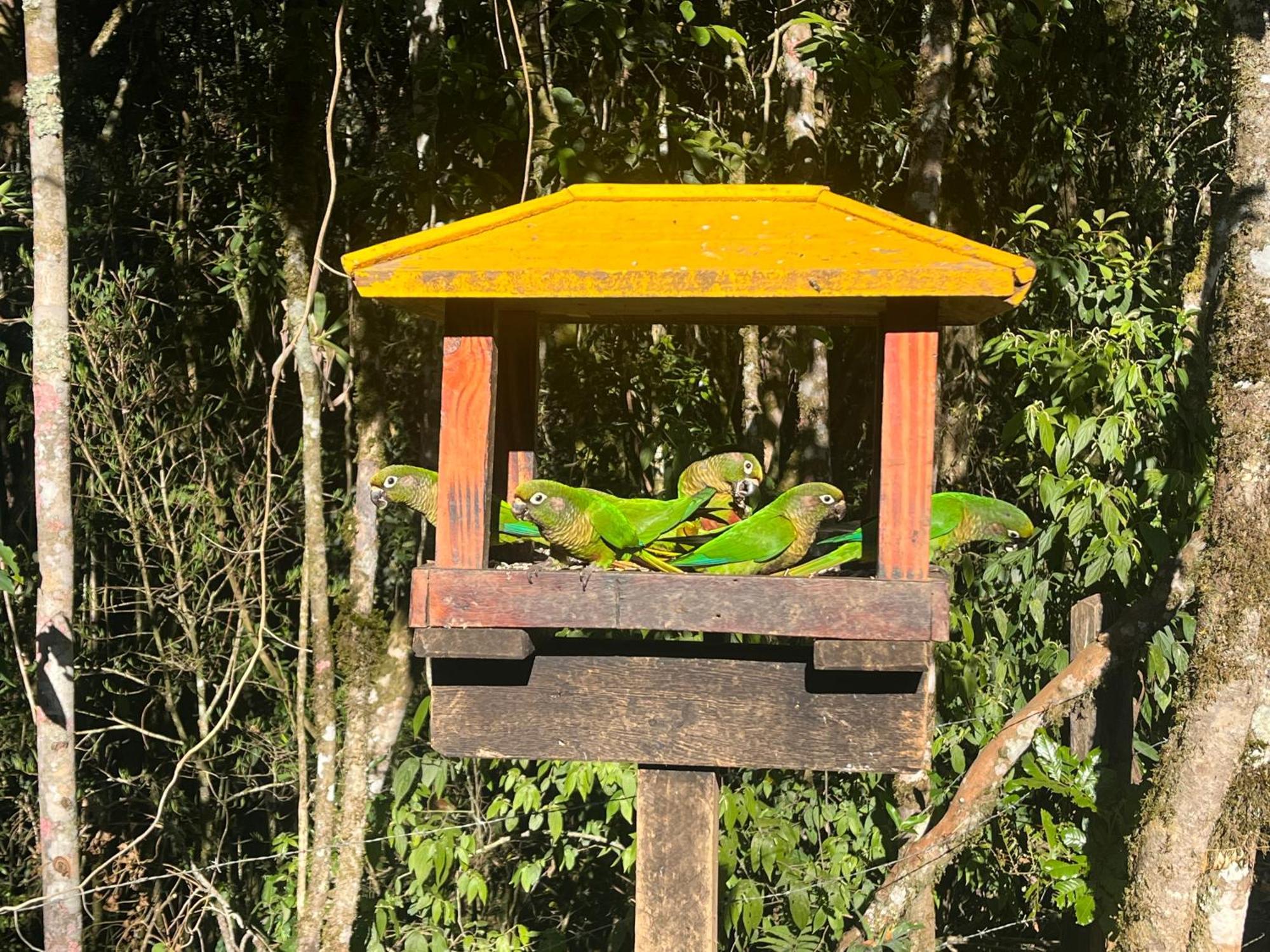 La Floresta Suites - Campos do Jordao — Photos 3